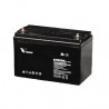 Vision Batería AGM 12 V